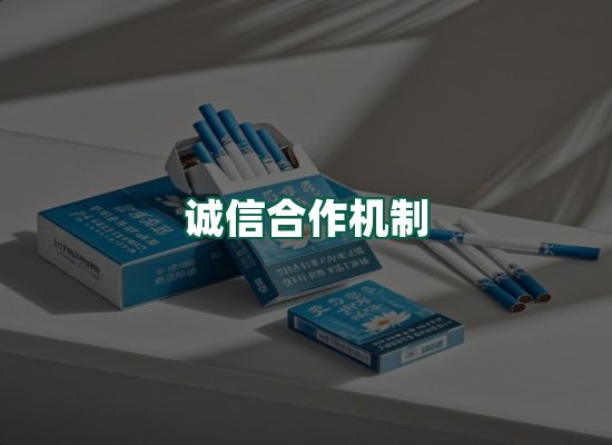 核心优势